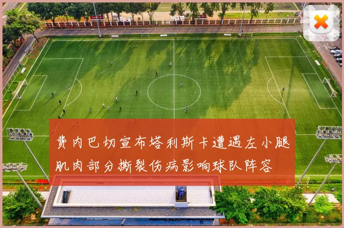 费内巴切宣布塔利斯卡遭遇左小腿肌肉部分撕裂伤病影响球队阵容